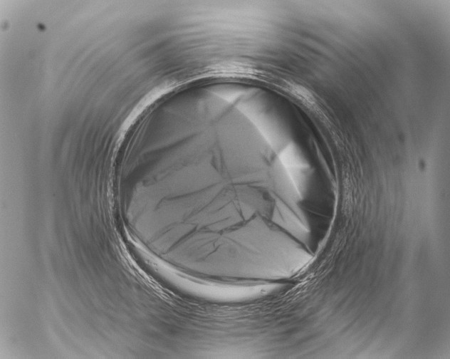X0000053101331200508081326