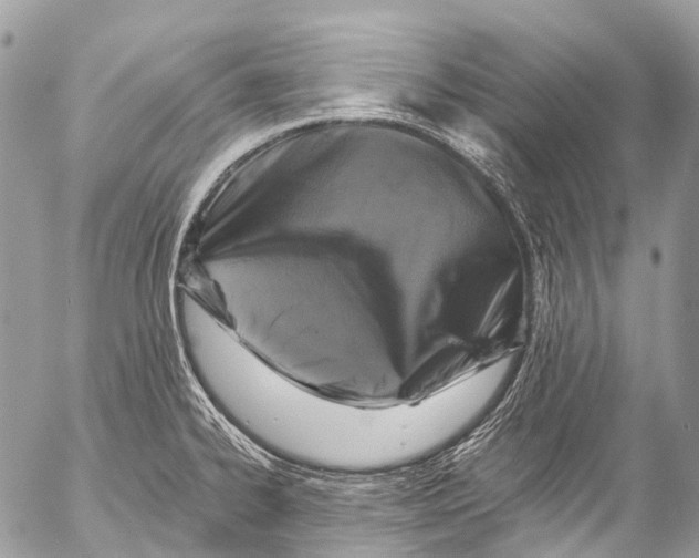 X0000053101334200508081326
