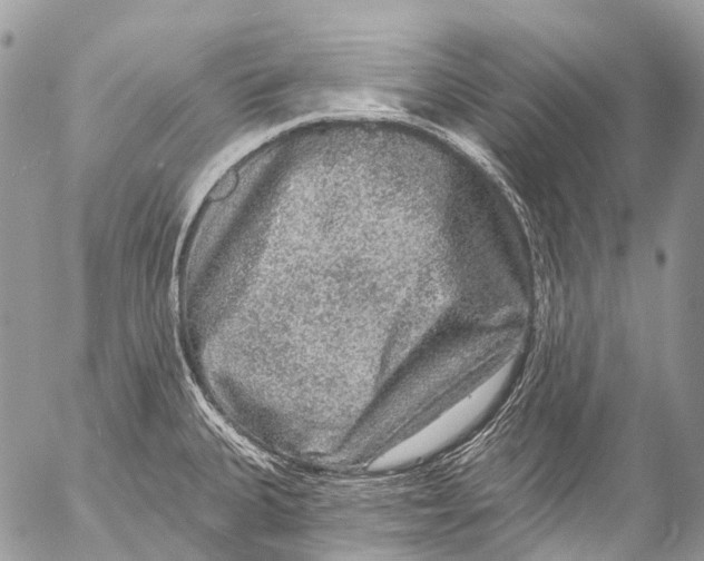 X0000053101335200508081326