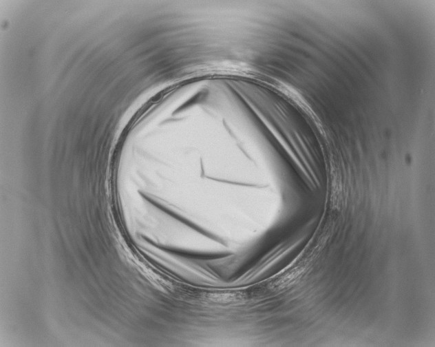 X0000053101339200508081327