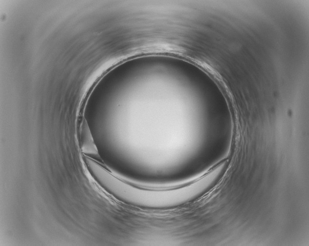 X0000053101342200508081327