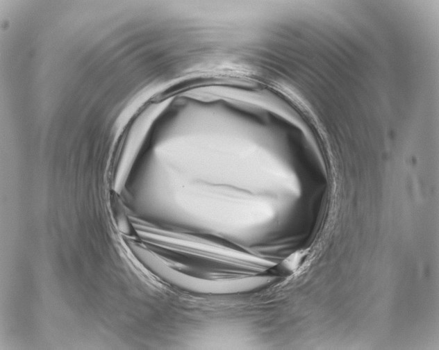 X0000053101344200508081327