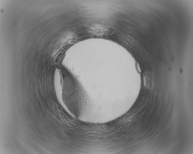 X0000053101347200508081326
