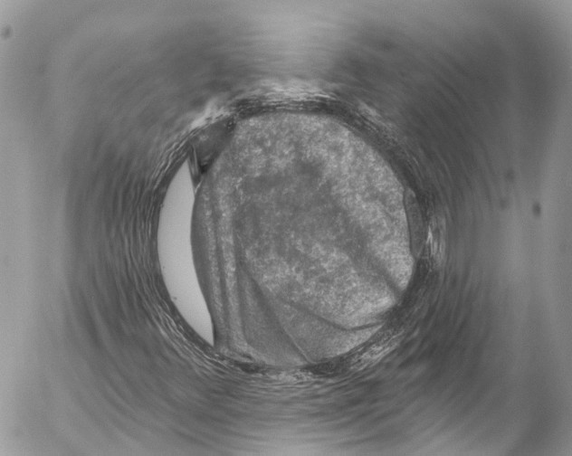 X0000053101348200508081326