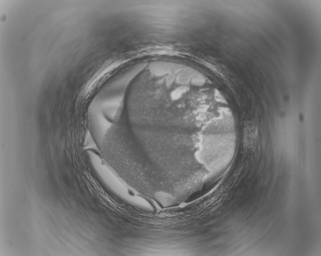 X0000053101359200508081326