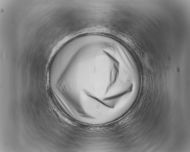 X0000053101366200508081325