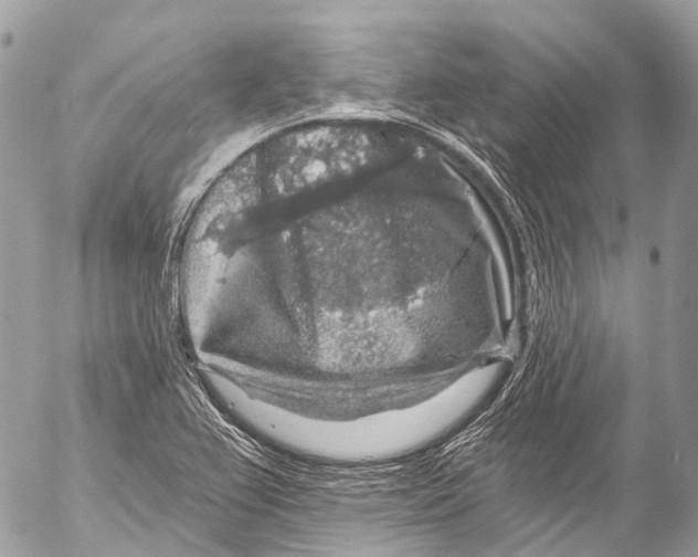 X0000053101367200508081325