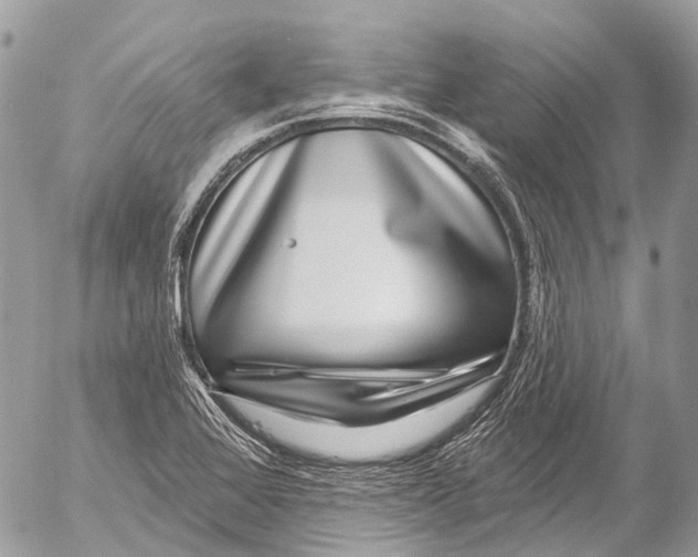 X0000053101368200508081325