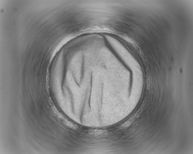 X0000053101374200508081325