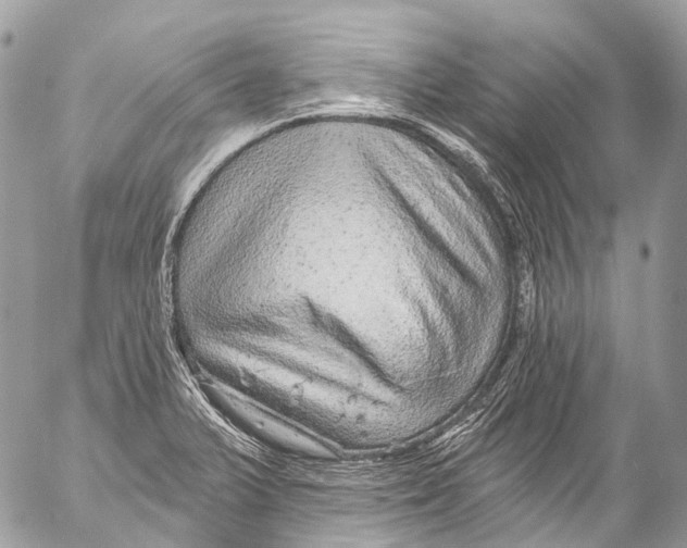 X0000053101375200508081325