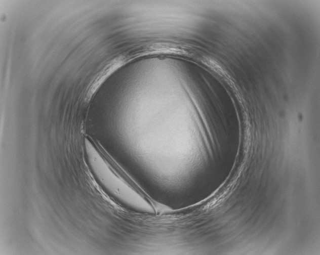 X0000053101377200508081325