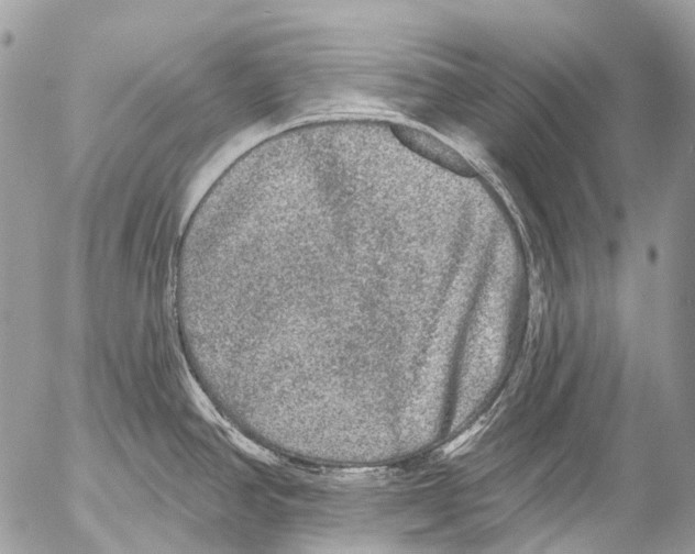 X0000053101390200508081325