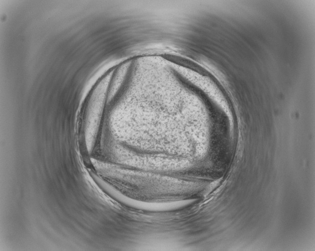 X0000053101392200508081325
