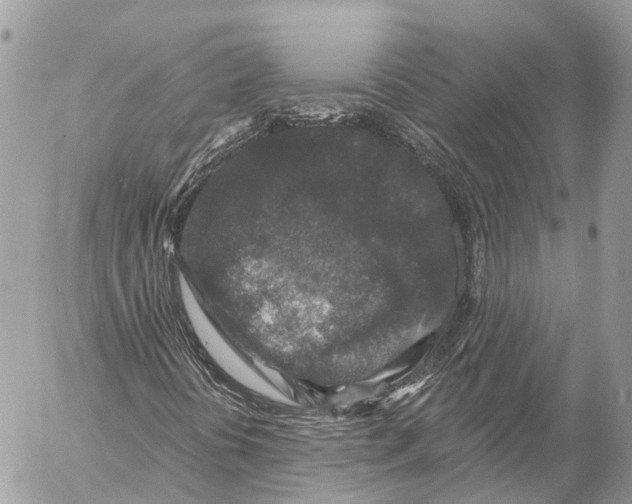 X0000053101394200508081324