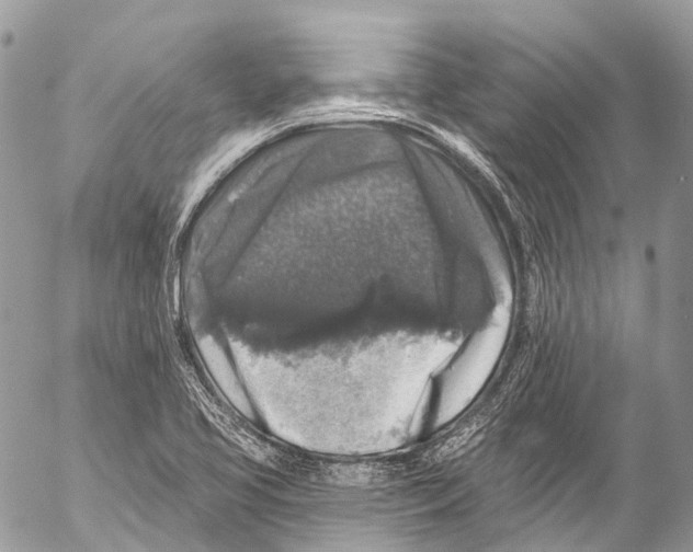 X0000053101413200508081325