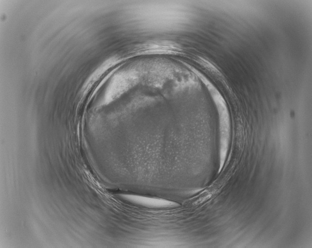 X0000053101419200508081325