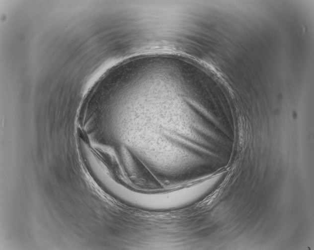 X0000053101422200508081325