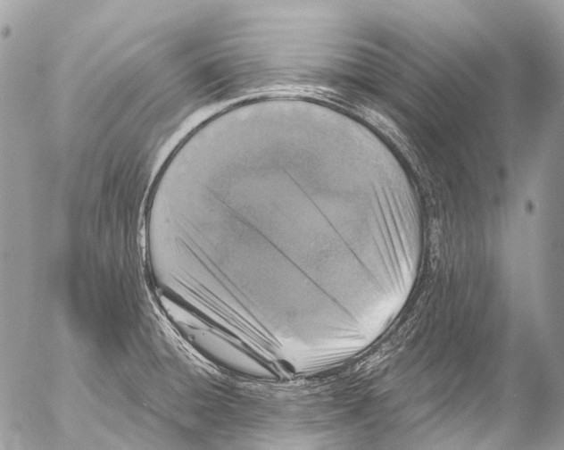 X0000053101428200508081325
