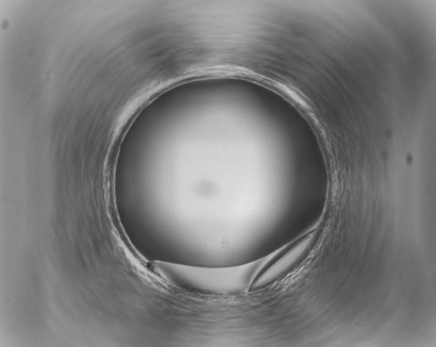 X0000053101430200508081325