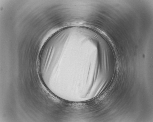 X0000053101432200508081325