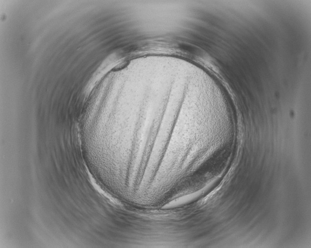 X0000053101433200508081325