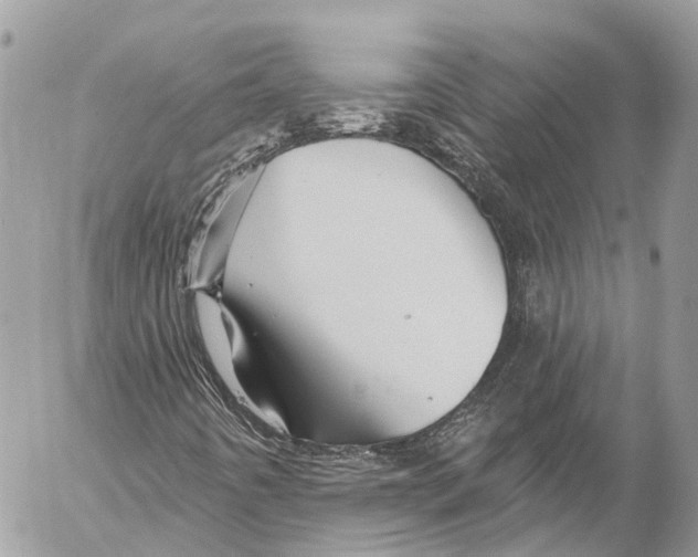 X0000053101442200508081324