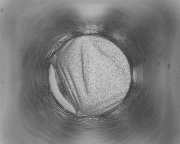 X0000053101444200508081324