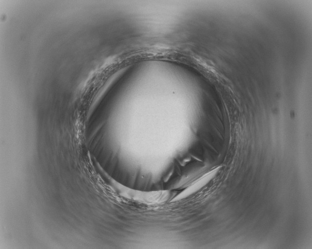 X0000053101447200508081324