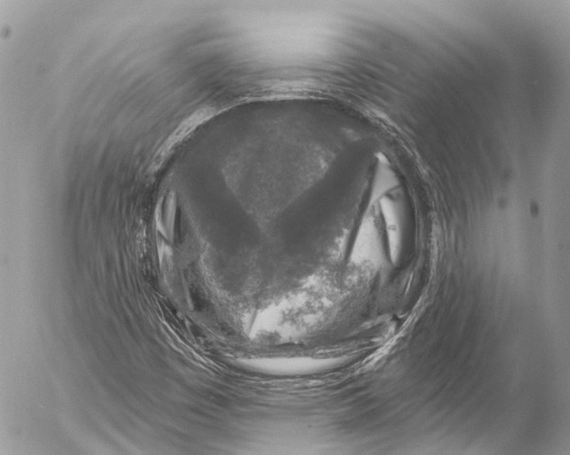 X0000053101449200508081324