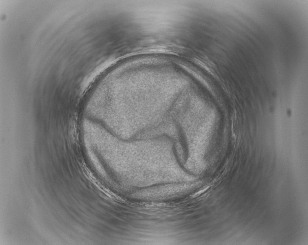 X0000053101452200508081324
