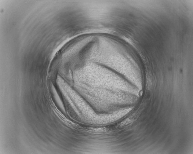 X0000053101460200508081324