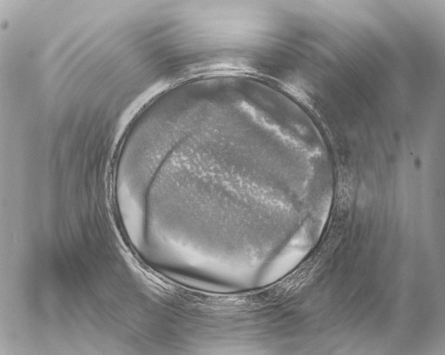 X0000053101474200508081324