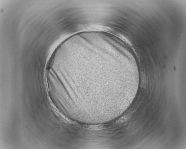 X0000053101480200508081324