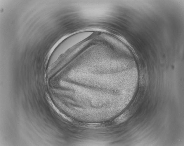 X0000053101484200508081324