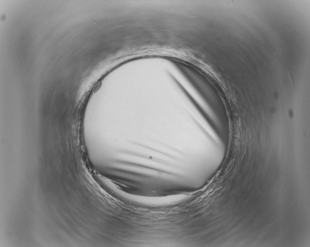 X0000053101504200508081323