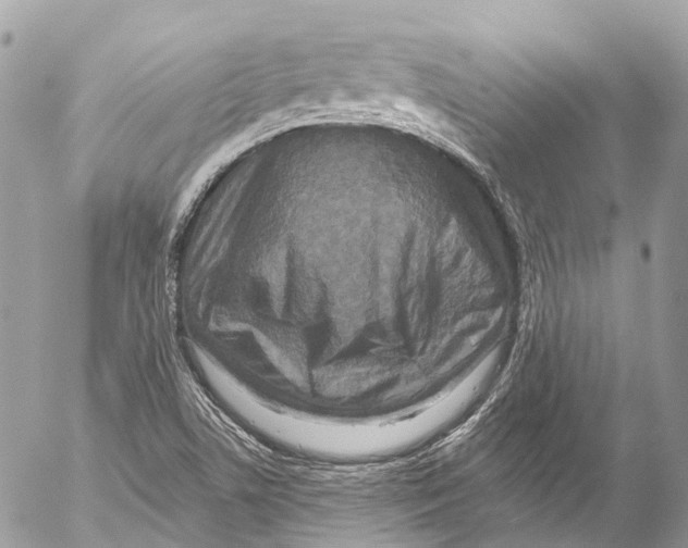 X0000053101506200508081323
