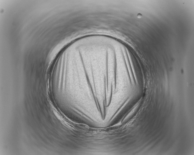X0000053101511200508081323