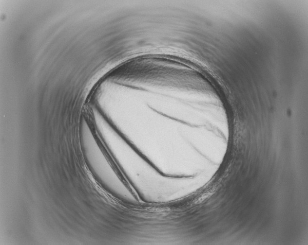 X0000053101513200508081323