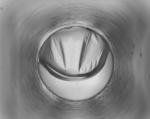 X0000053101524200508081323