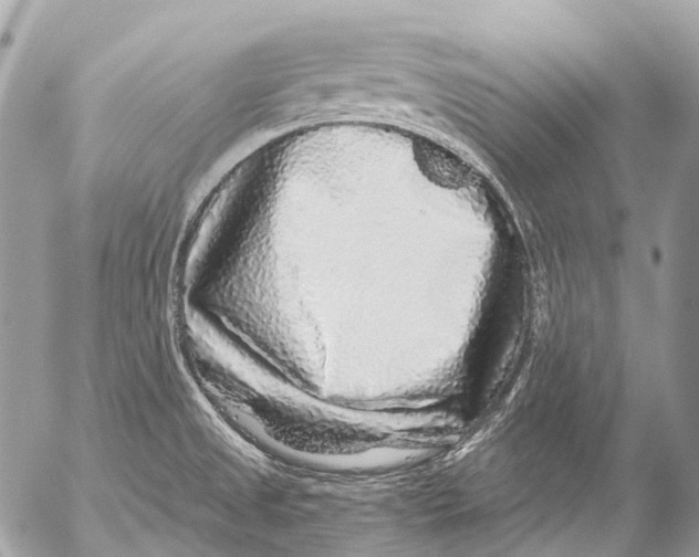 X0000053101525200508081323