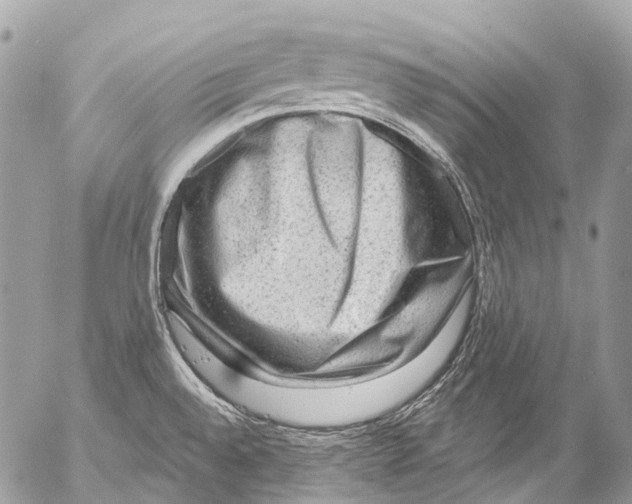 X0000053101528200508081323