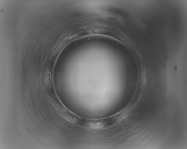 X0000053110169200507111304