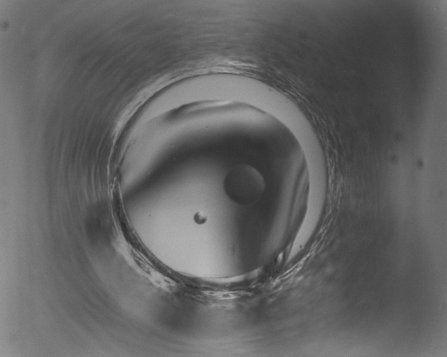 X0000053110244200507111302