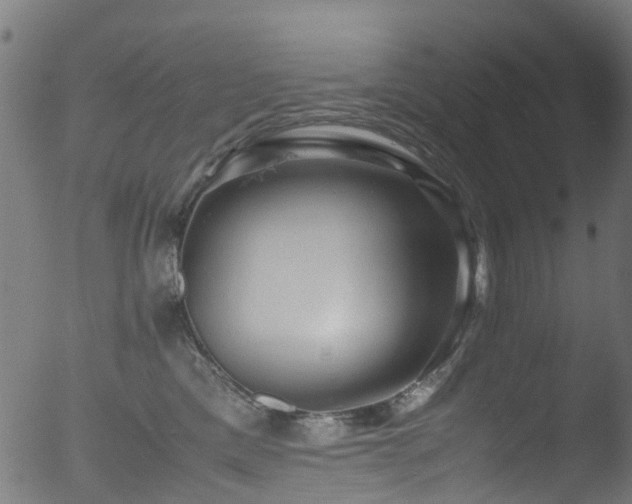 X0000053110425200507111300