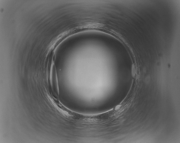 X0000053110437200507111259