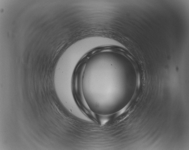 X0000053110560200507111258