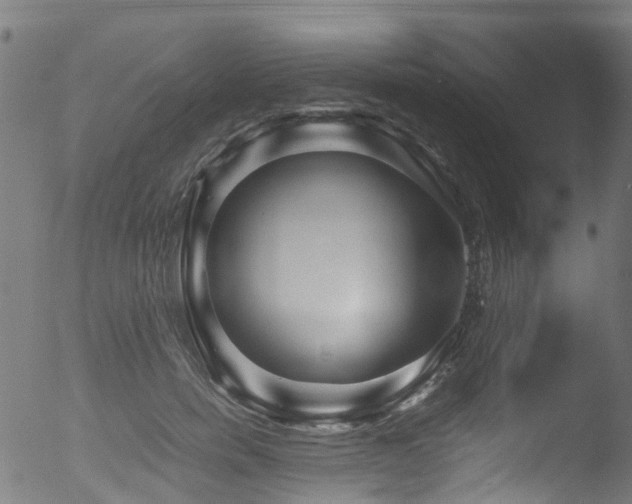 X0000053110750200507111254