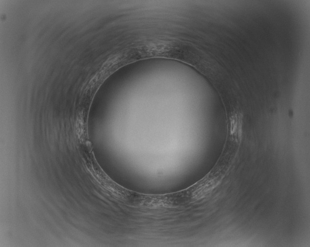 X0000053111011200507111249