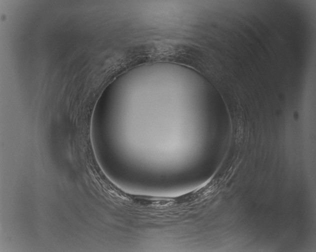X0000053111153200507111247