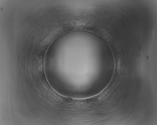 X0000053111204200507111246